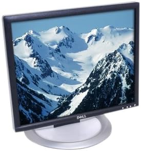 Dell UltraSharp 1905FP 19-inch LCD Monitor