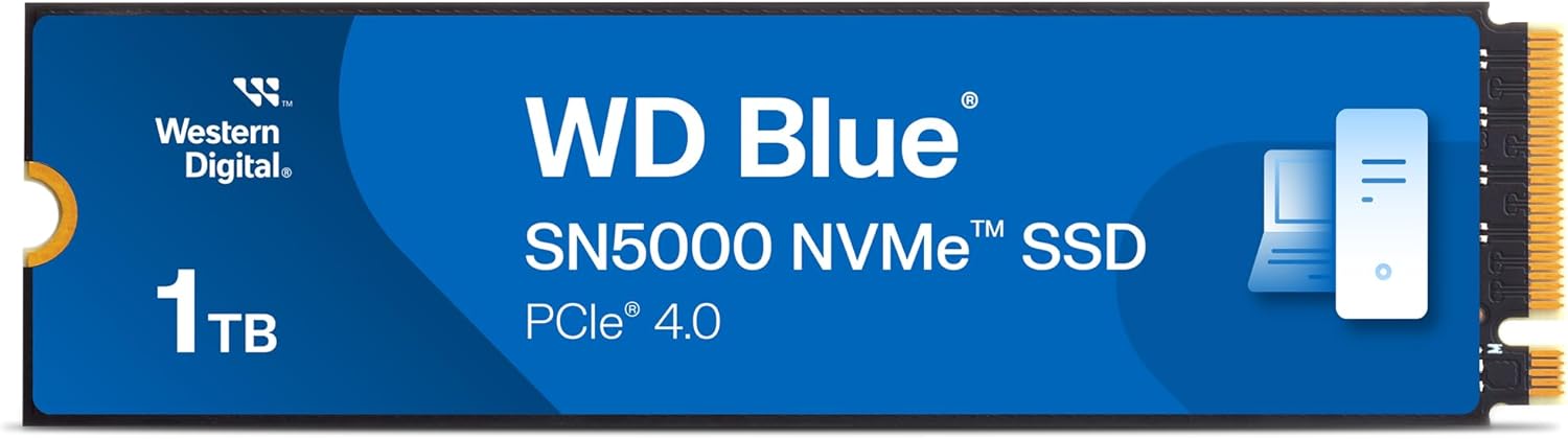 Western Digital Blue WDS100T2B0B 1TB M.2 2280 6Gbps TLC Consumer SATA SSD