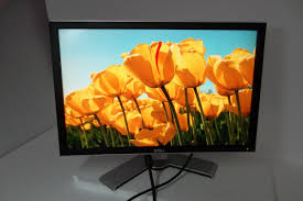 G283H - Dell 24-Inch UltraSharp 2408WFPB 1920 x 1200 at 60Hz Widescreen TFT Flat Panel LCD Monitor