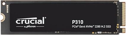 CT1000P310SSD801