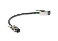 Cisco CAB-SPWR-30CM Power Cable