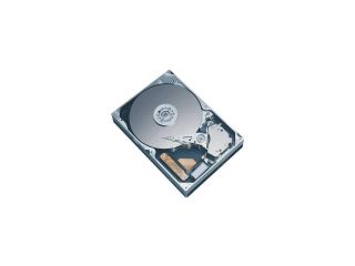 Maxtor 6B250S0 SATA Hard Drive